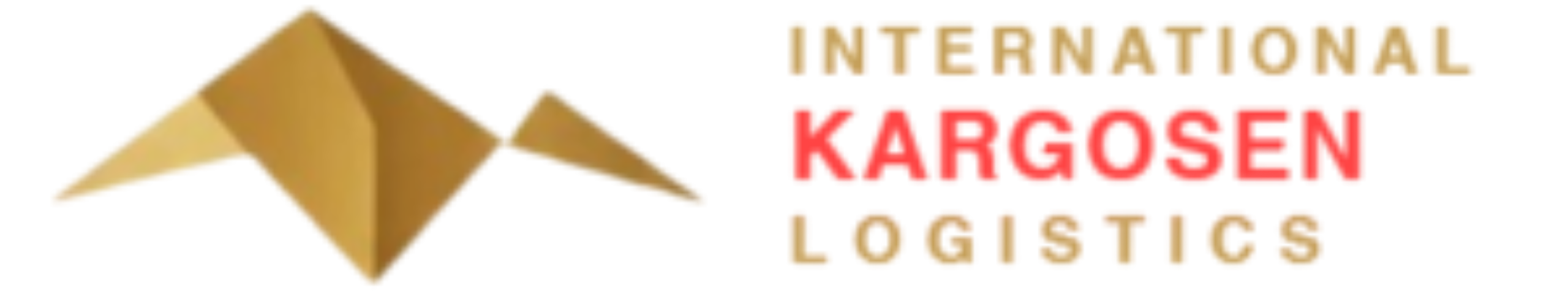 internationalkargosen.com